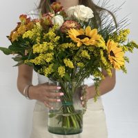 30 stem bqt website