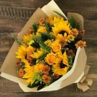 30 STM BQ GIRASOLES IG