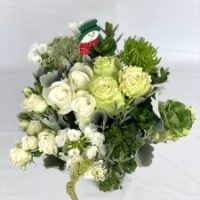 30-stem-cabeza-225x300