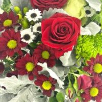 WhatsApp-Image-2023-12-05-at-11.16.05-1-225x300