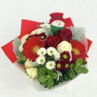 mini-b-1-arriba-225x300