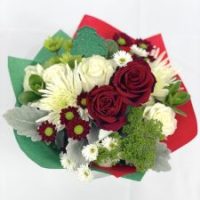 mini-bq-3-arriba-225x300