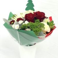 mini-bqt-3-1-225x300