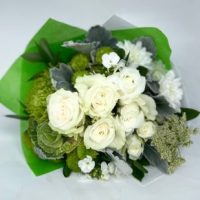 sup-green-e1699895418995-300x291